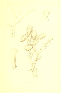 n266_w1150
