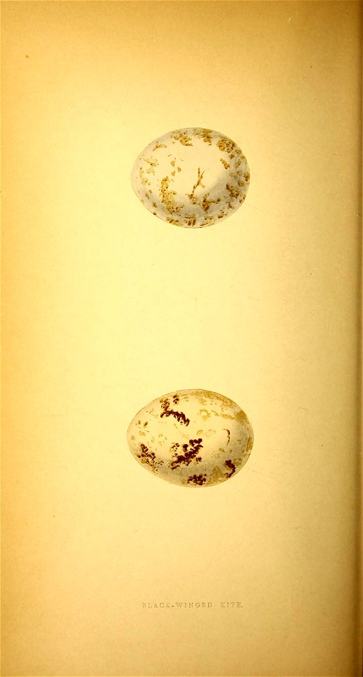 n181_w1150