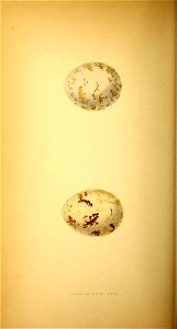 n181_w1150
