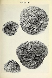 n172_w1150