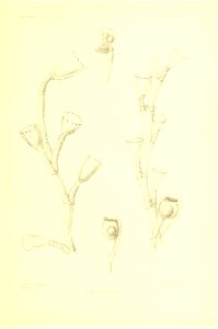 n258_w1150