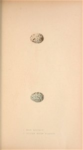 n192_w1150