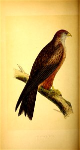 n171_w1150