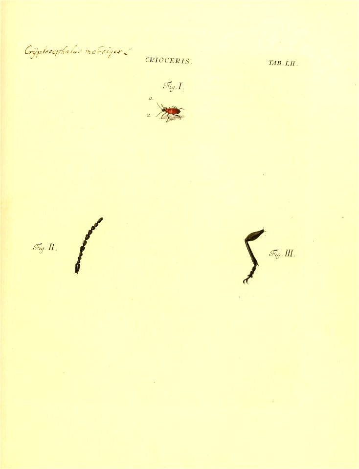 n142_w1150