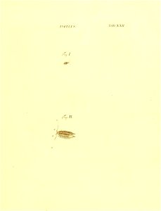 n82_w1150