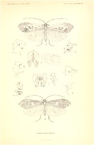 n206_w1150