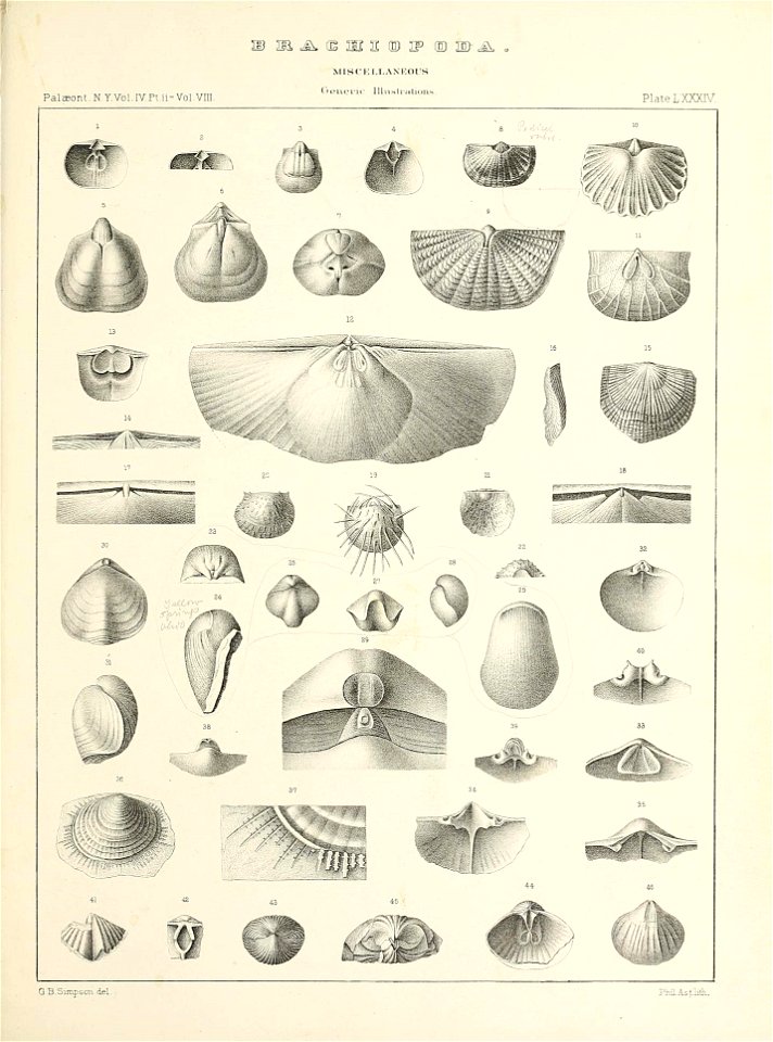 n672_w1150