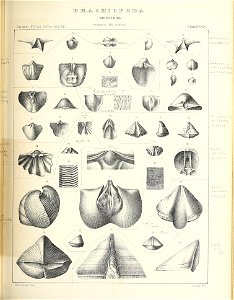 n492_w1150