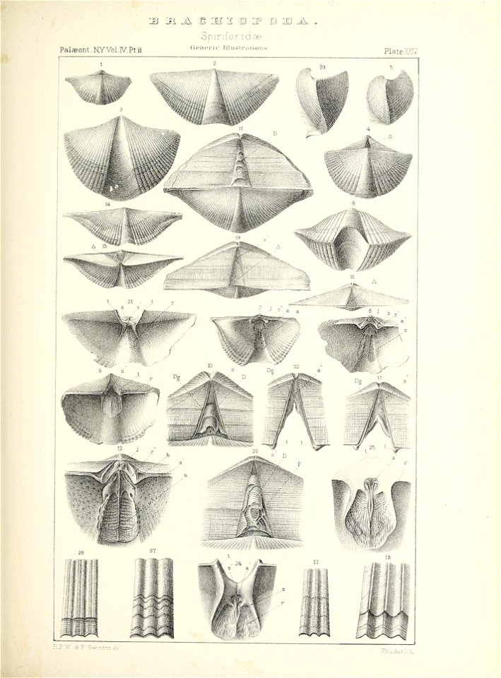 n432_w1150