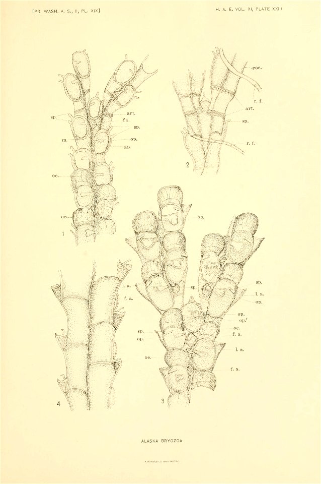 n308_w1150