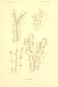 n308_w1150