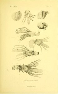 n218_w1150