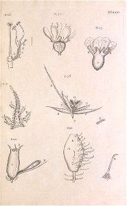 n176_w1150