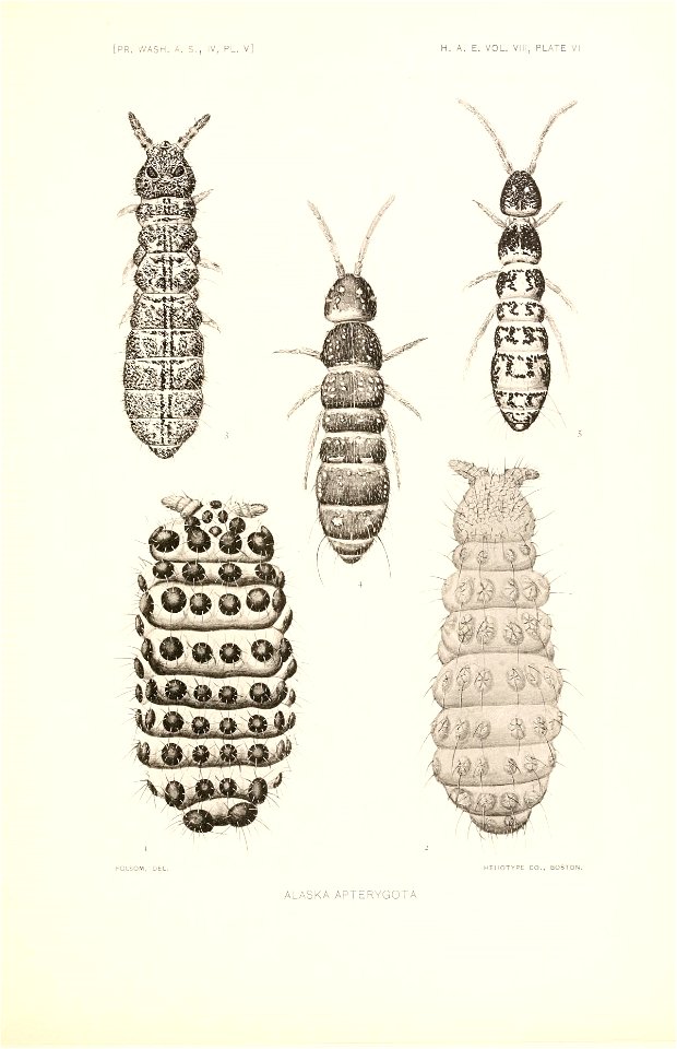 n136_w1150
