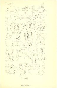 n110_w1150