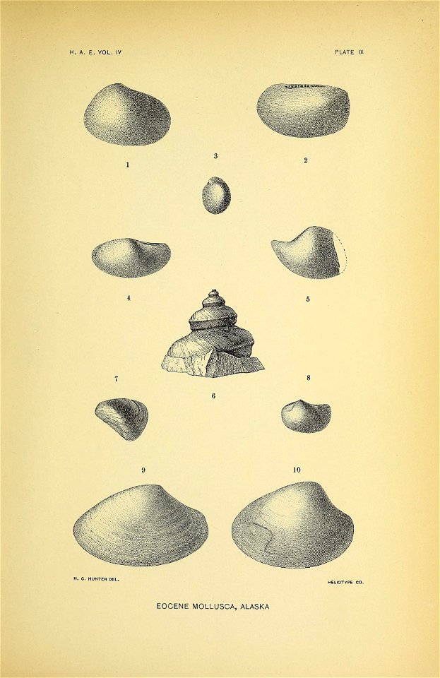 n172_w1150