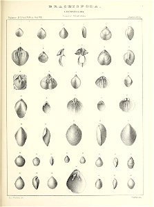 n652_w1150