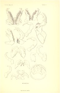 n106_w1150