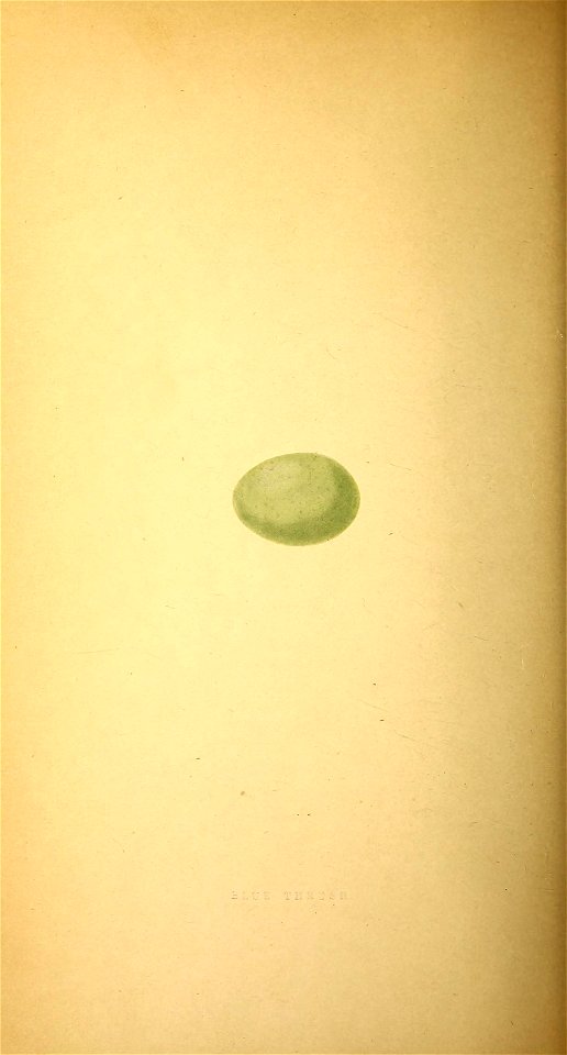 n327_w1150