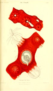 n428_w1150