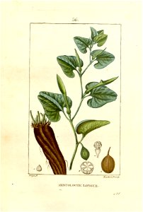 n141_w1150