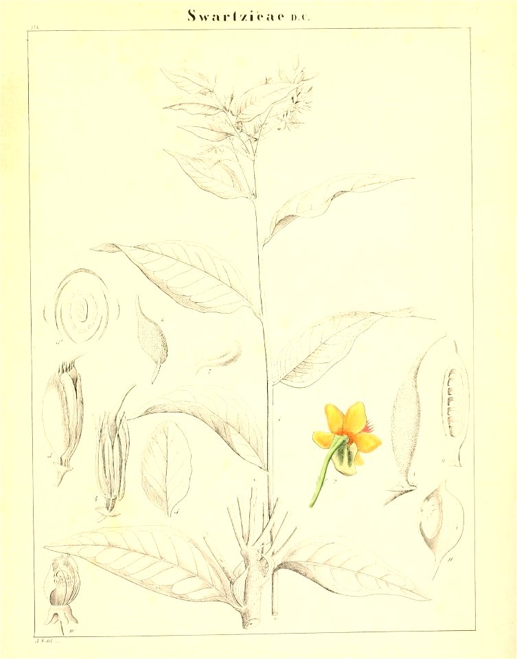 n818_w1150