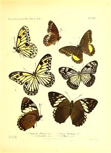 n158_w1150