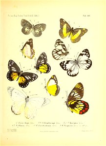 n98_w1150