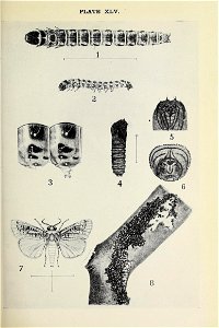 n692_w1150
