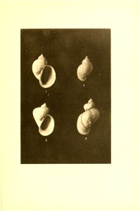 n174_w1150