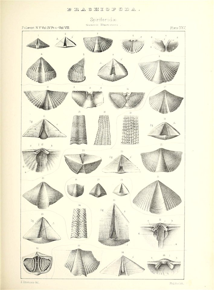 n436_w1150