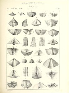 n436_w1150