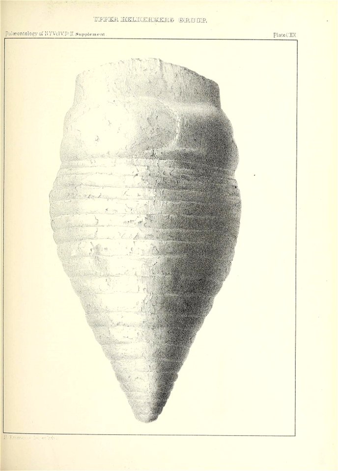 n568_w1150