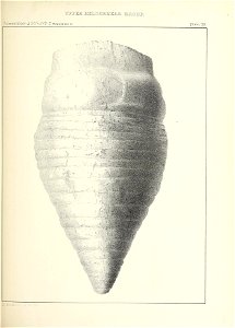 n568_w1150