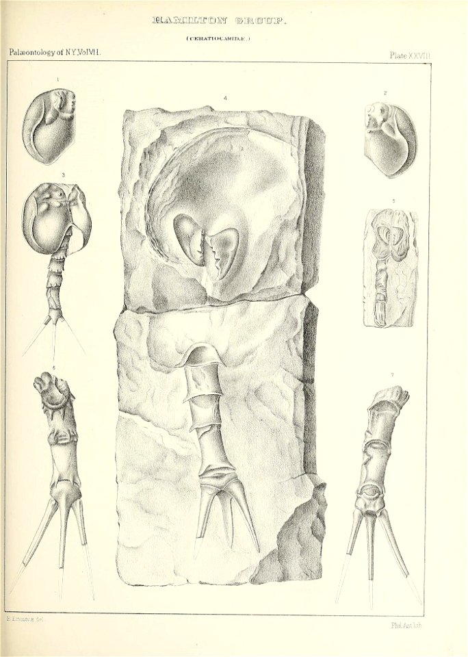 n506_w1150