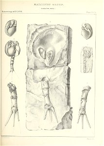n506_w1150