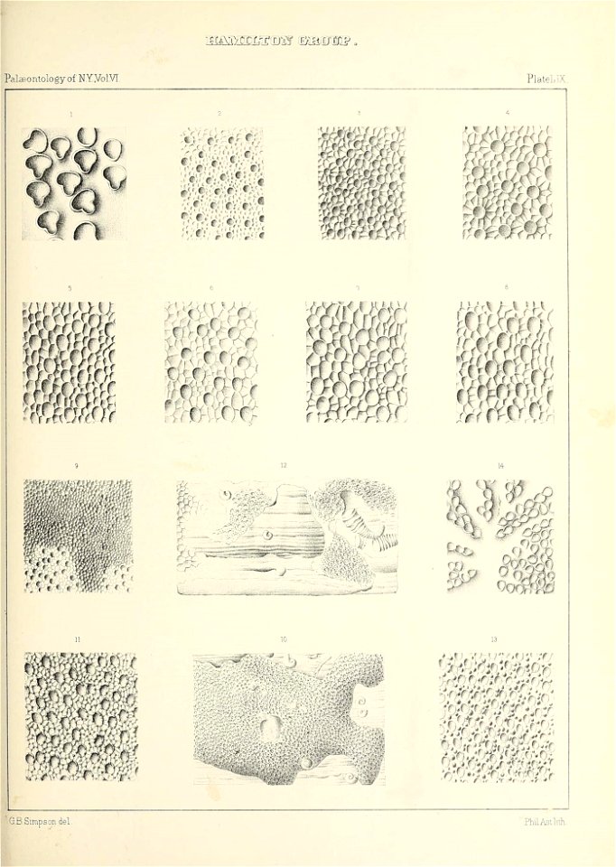 n568_w1150