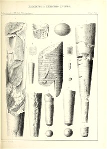 n564_w1150