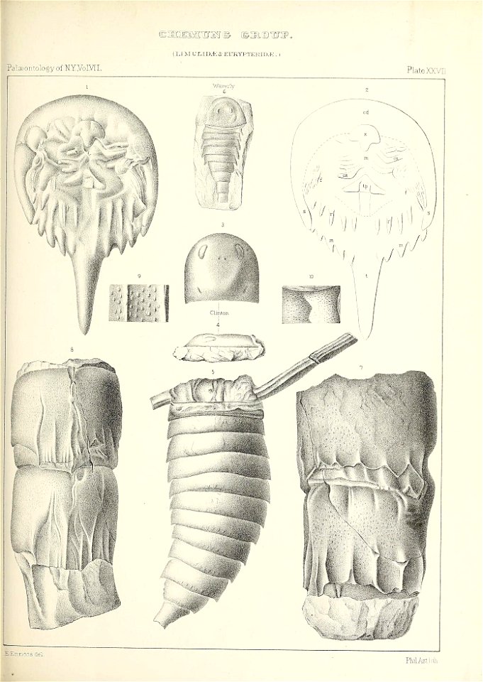 n502_w1150