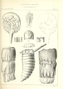 n502_w1150