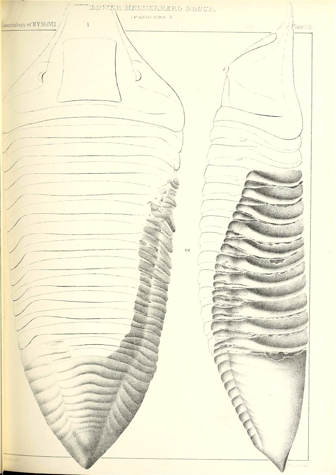 n378_w1150