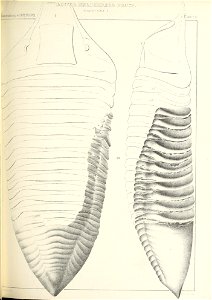 n378_w1150