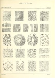 n564_w1150