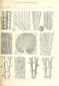 n504_w1150