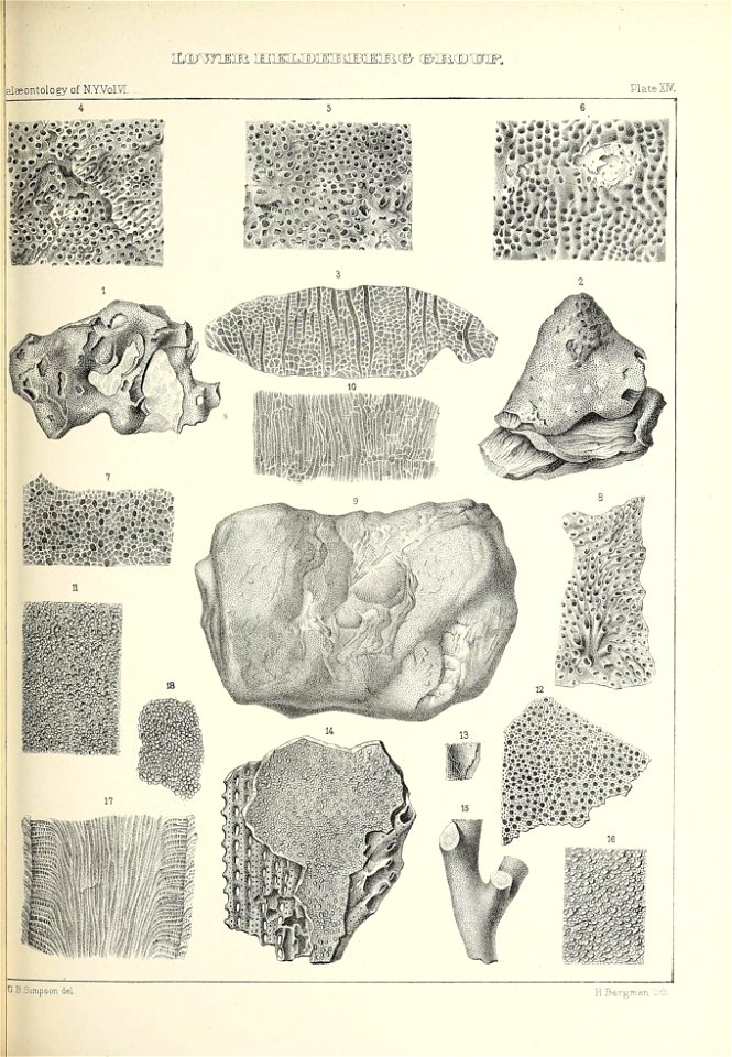 n384_w1150