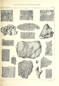 n384_w1150