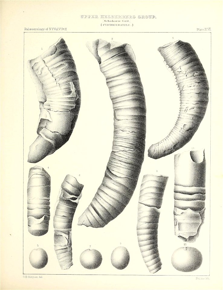 n452_w1150