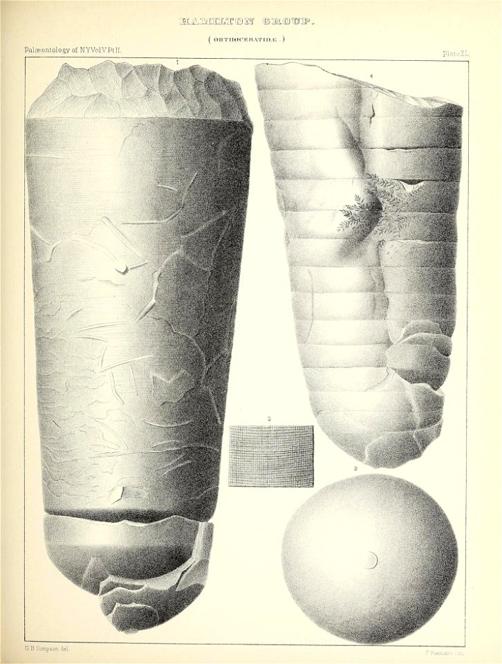 n198_w1150