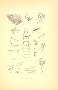 n148_w1150