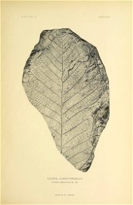 n284_w1150